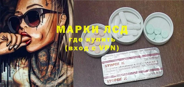 крисы Аркадак