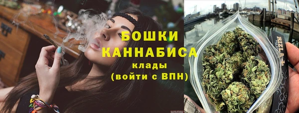 крисы Аркадак