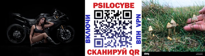 KRAKEN рабочий сайт  Петровск  Галлюциногенные грибы Psilocybine cubensis 