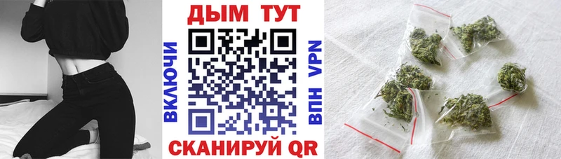 mega tor  Петровск  Марихуана Amnesia 